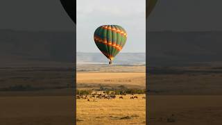 🌴Maasai Mara: Balloon Safari🦒| Rhythms of the Wild in 4K