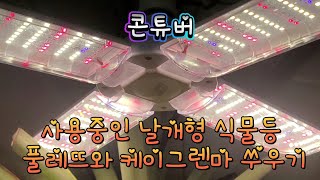 사용중인 식물성장등 풀레뜨와 쑤우기 간접적인 비교