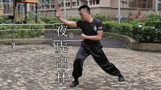 4k60 | 嶺南洪拳 - 夜虎出林 | Hung Gar Kung Fu - Night Tiger