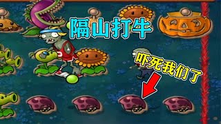 PVZ自制关卡：粉丝说“特别简单”，打到最后才发现被坑了！【梗梗游戏解说】