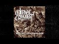 ETERNAL CONQUEST - Relentless Barrage, 2026