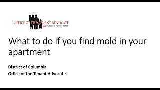 DC Office of the Tenant Advocate: What To Do If You Find Mold In Your Apartment