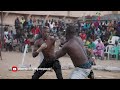 two dambe lions go to war ali kanin bello vs bahagon yakulala yellow african dambe fight