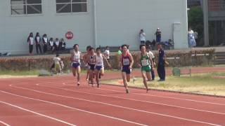 2016大体大中長距離競技会（3）男子800m