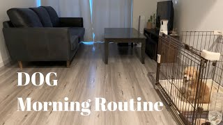 【Morning Routine】子犬のモーニングルーティン🐶🌤