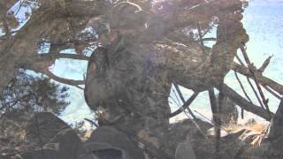 Coyote Hunting Tips - Stand Set Up