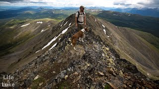 Mt Lorne Ridge Loop - Whitehorse