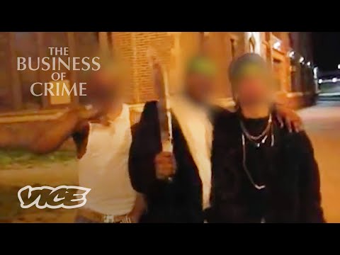 What factors cause gangs?