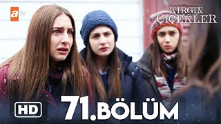 Kırgın Çiçekler 71. Bölüm | HD