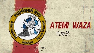 Atemi Waza Self-defense Explained - Fudoshinryu Aiki Jujutsu