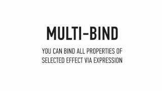 Bind Effector (Videohive)