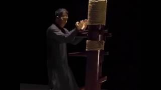 Wing Chun and Donnie Yen: Wooden Dummy