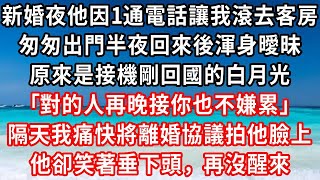 新婚夜他因1通電話讓我滾去客房，匆匆出門半夜回來後渾身曖昧，原來是接機半夜回國的白月光，｢對的人再晚接你也不嫌累｣，隔天我痛快將離婚協議拍他臉上，他卻笑著低頭，再沒醒來#家庭伦理#小說