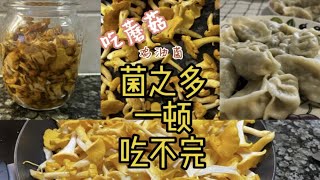 鸡油菌的各种吃法，希望今年实现鸡油菌自由Al啊