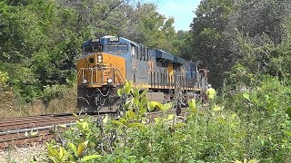 CSX Mixed Manifest Freight Train In Relay, MD