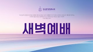 [강남중앙침례교회 새벽기도]  김요한 목사 / 요한복음 13:31-38 / 25.2.19