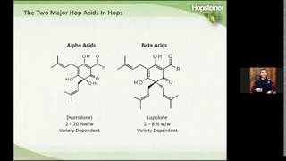 Hoppy Topics  - Dry Hopping and its Effects on Bitterness