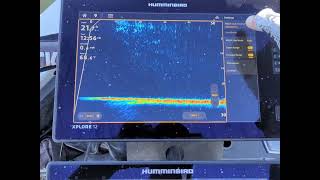 Calibrate MEGA Live 2 Transducer
