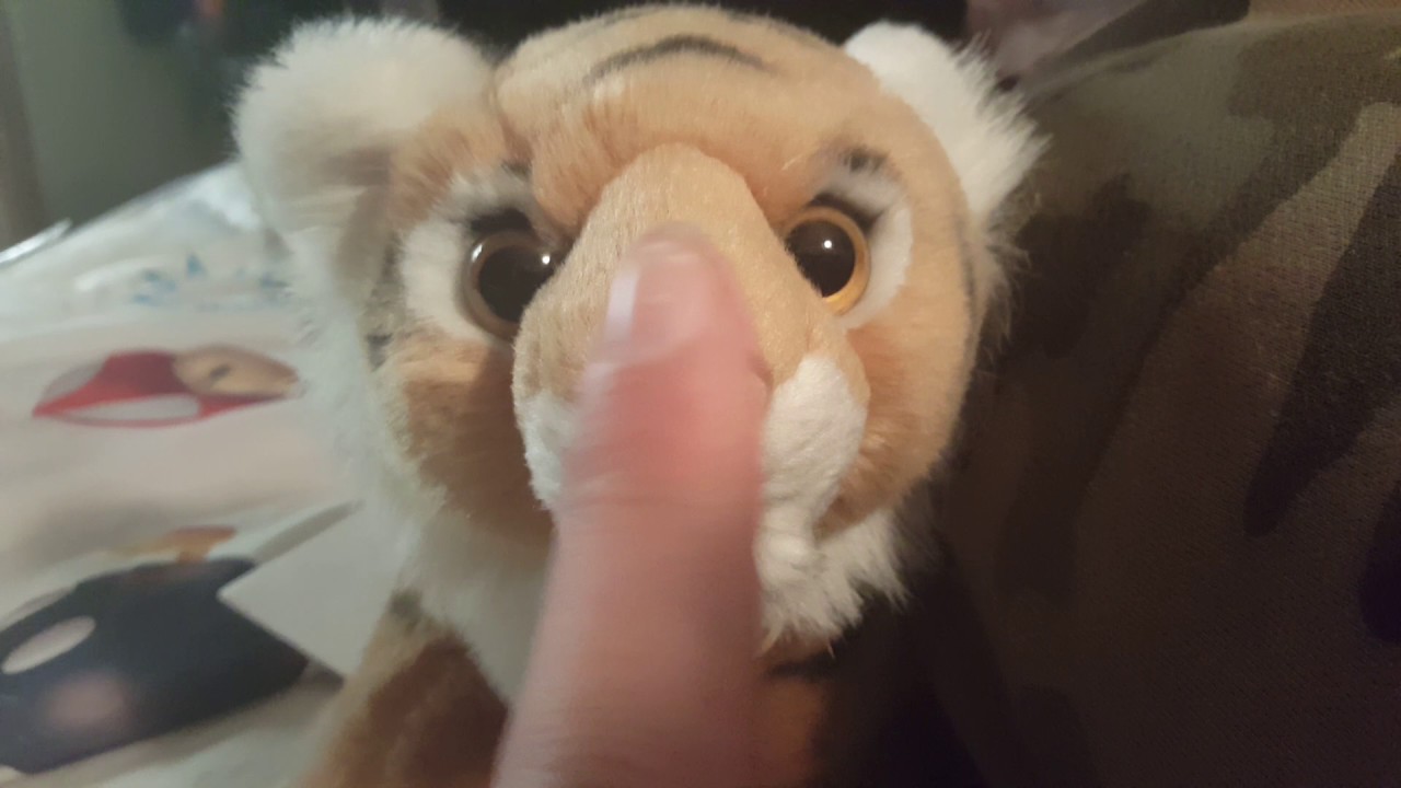 How To Boop The Snoot - YouTube