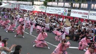 ２０１２年８月２５日  第５６回 東京高円寺阿波おどり 桃園演舞場４