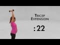 5 Minute Maternity Workout - ARMS