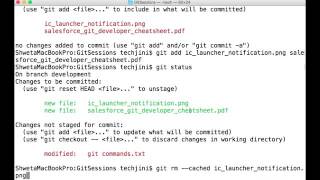 Git Add and Commit