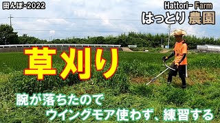 腕が落ちてきたので、ウイングモア封印して草刈りをする　洗車場の田んぼ　田んぼ・2022　20220718