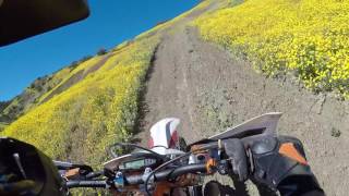 Ballinger Canyon Hillclimb