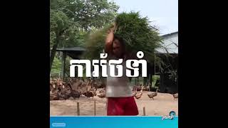 វិធីសាស្រ្តចិញ្ចឹមទាយកពង