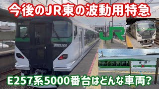 【次世代波動用特急】E257系5000番台はどんな車両なの？