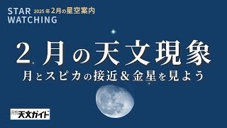 月とスピカの接近、金星を見よう【2025年2月の星空Part02】