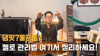 [악기관리법]#1 댐핏? 울프톤? 엔드핀길이? 첼로관리하는방법!