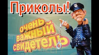 ПРИКОЛЫ! Очень важный свидетель!!!