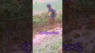 ||తొలకరి జల్లుకు తడిసిన నేల||agriculture # farming # farmers #