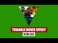 Triangle Hover Effect CSS | How to make Hover Animation in CSS?