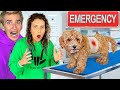 We Rushed MY PUPPY to the HOSPITAL... Will he be okay