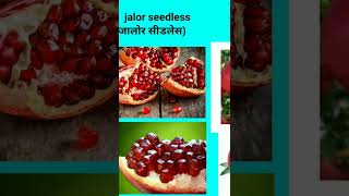 anar varieties । अनार की उन्नत किस्में, pomegranate, sindhuri anar, , jalor seedless,Ganesh anar