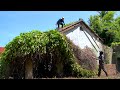 Abandoned house SWALLOWED by giant vegetation. Clean up, cut weeds, SHOCKING transformation