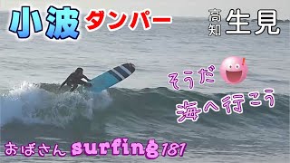 ダンパー小波テイクオフ🌊ロングボードでおばさんサーフィン【生見海岸】Surfing Longboard Japan