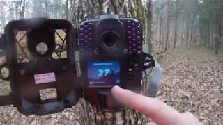 Spypoint Force Trail Camera Review | Set-up | Best $100 trail camera