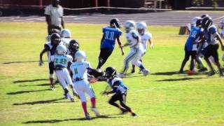 Spartanburg Gators 2016 Highlights 10U