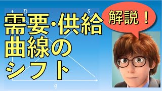 【倫理政経・政治経済　共通テスト対策】市場メカニズム２　需要・供給曲線のシフト