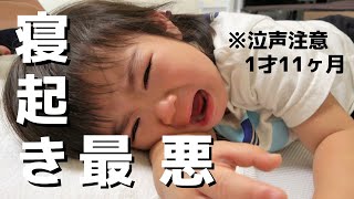 [1 year old] Daughter crying 😭 Is it because you don't like getting up? 1 year 11 months real