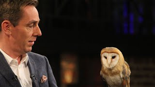 Owl name reveal | The Late Late Show | RTÉ One