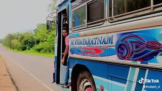 💓 87 පාරේ යකෙක් තමයි ඉතිං..💙 Rathna Travels ( ලොකු )..💛 යාපනය 87 කොළඹ..