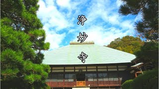 浄妙寺（鎌倉）、Japan travel,鎌倉三十三観音御朱印めぐり、絶景と抹茶！kamakura　Jomyoji in japan