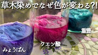 【色変化の草木染め】クエン酸・重曹・ミョウバンの違いと使い方を徹底解説！赤キャベツで発色の違いを検証！