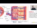 ch6 sec3 placenta till the end وێڵاش تاکو کۆتایی