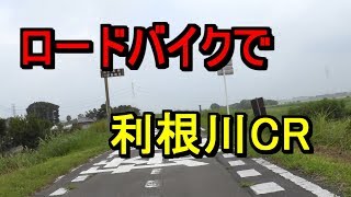 （利根川CR）上武大橋～坂東大橋ロードバイク