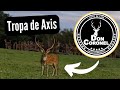 🦌🇦🇷 - Ciervo Axis | Sauce Corrientes